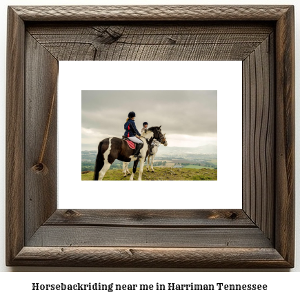 horseback riding near me in Harriman, Tennessee